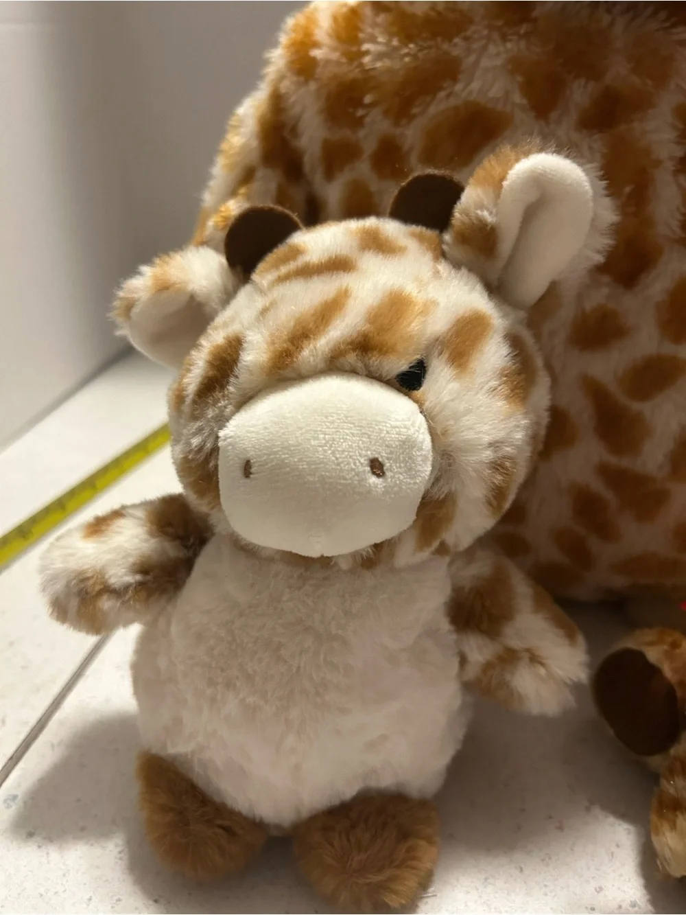 Ty adorable giraffe